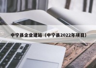 中宁县企业建站（中宁县2022年项目）